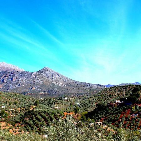 Alojamiento Rural El Agueelo Huelma ภายนอก รูปภาพ