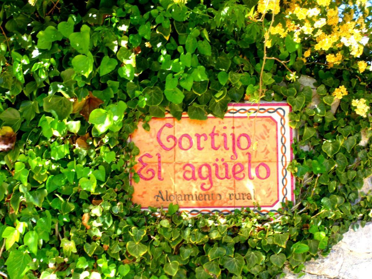 Alojamiento Rural El Agueelo Huelma ภายนอก รูปภาพ