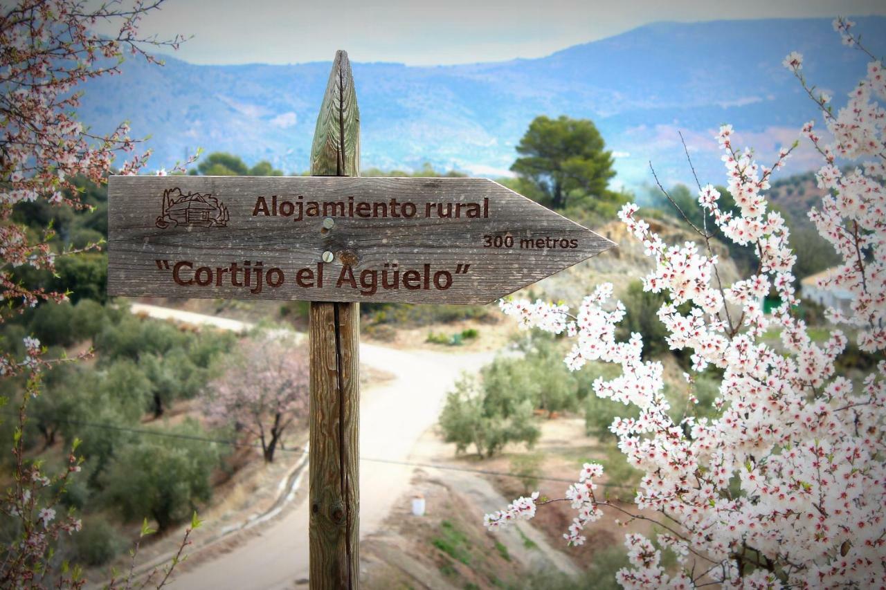 Alojamiento Rural El Agueelo Huelma ภายนอก รูปภาพ